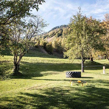 Kraftquelle Herrnmuhle Bramberg am Wildkogel Kültér fotó