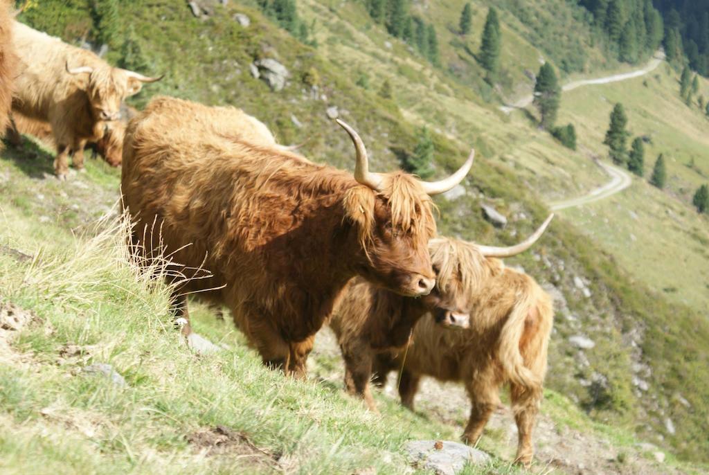 Kraftquelle Herrnmuhle Bramberg am Wildkogel Kültér fotó