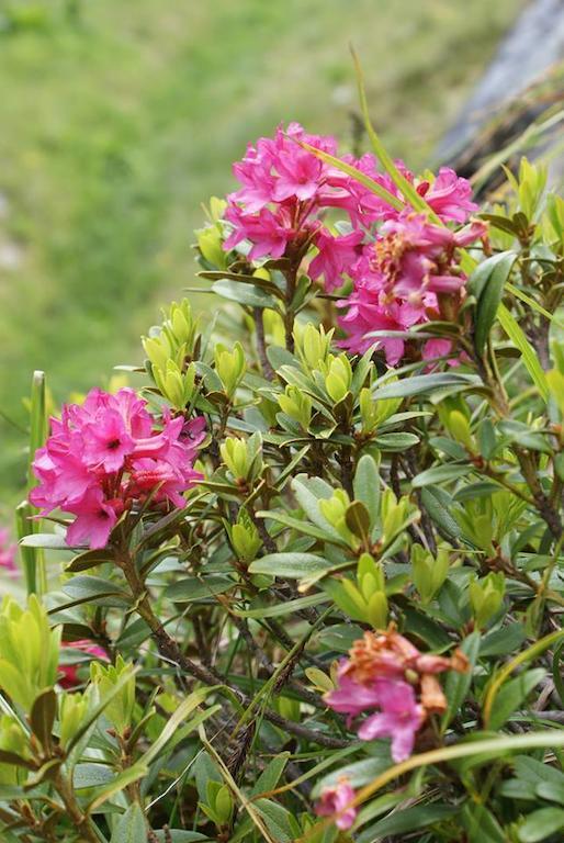 Kraftquelle Herrnmuhle Bramberg am Wildkogel Kültér fotó